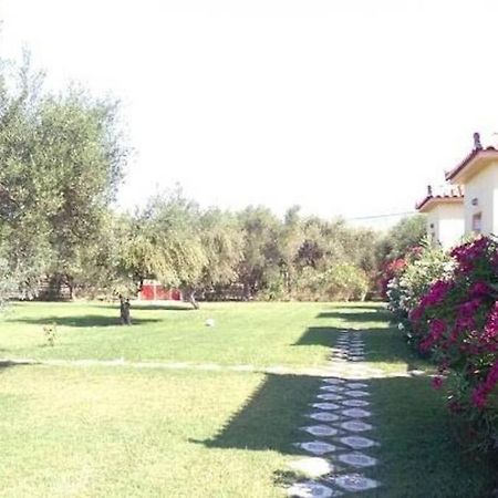 Phyllida Guest House - A2 Ζαχάρω Εξωτερικό φωτογραφία