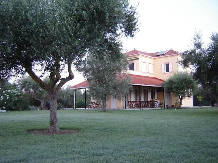 Phyllida Guest House - A2 Ζαχάρω Εξωτερικό φωτογραφία