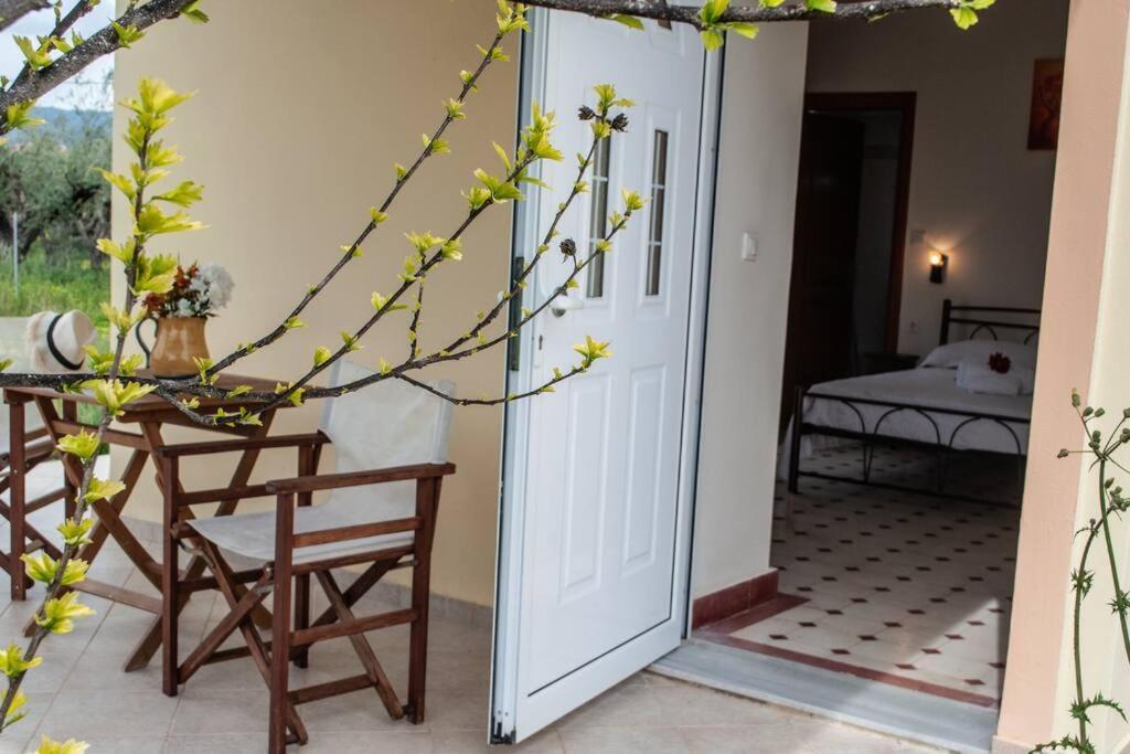 Phyllida Guest House - A2 Ζαχάρω Εξωτερικό φωτογραφία