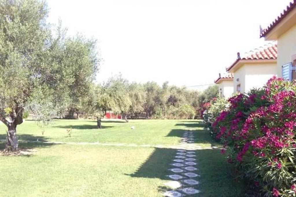 Phyllida Guest House - A2 Ζαχάρω Εξωτερικό φωτογραφία