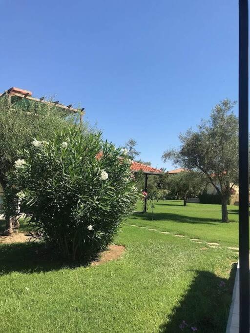 Phyllida Guest House - A2 Ζαχάρω Εξωτερικό φωτογραφία